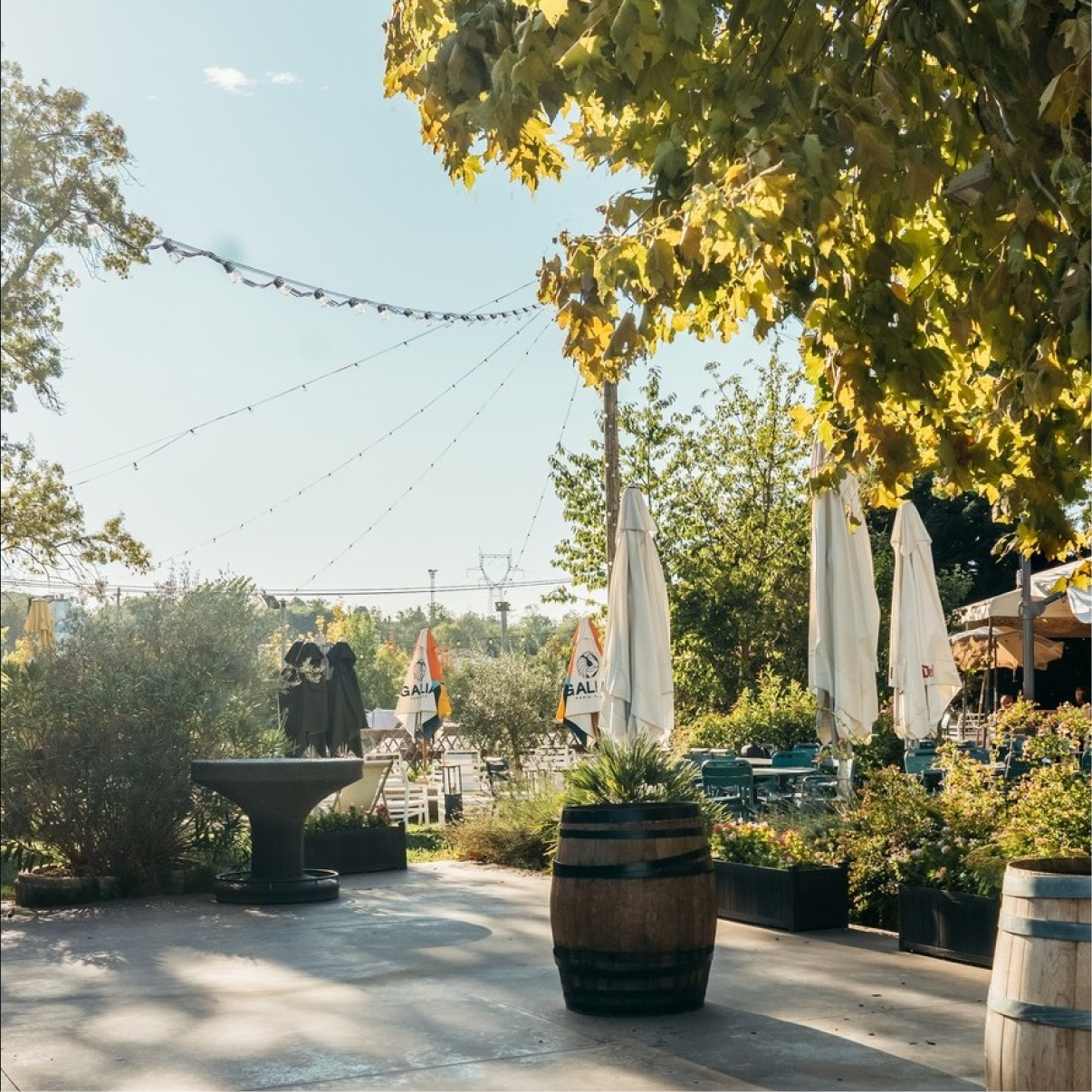 Chez Jostel - restaurant GENAY - Restaurant Neuville sur Saône - Restaurant Neuville sur Saone - Restaurant Saône - Resto Neuville sur Saone